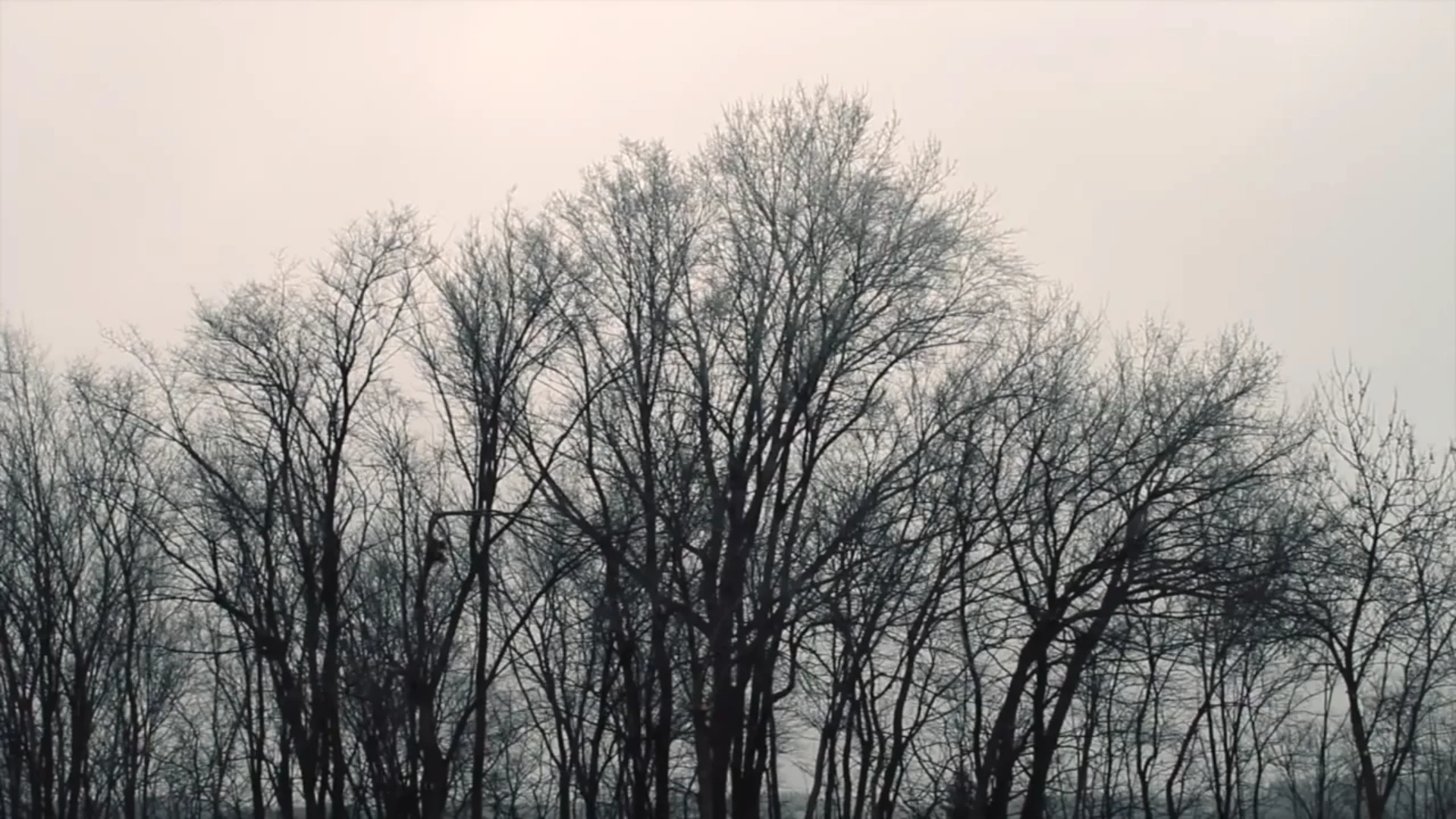 PATHS still 13